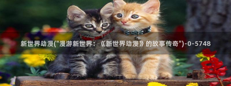 动漫肉片:新世界动漫(\